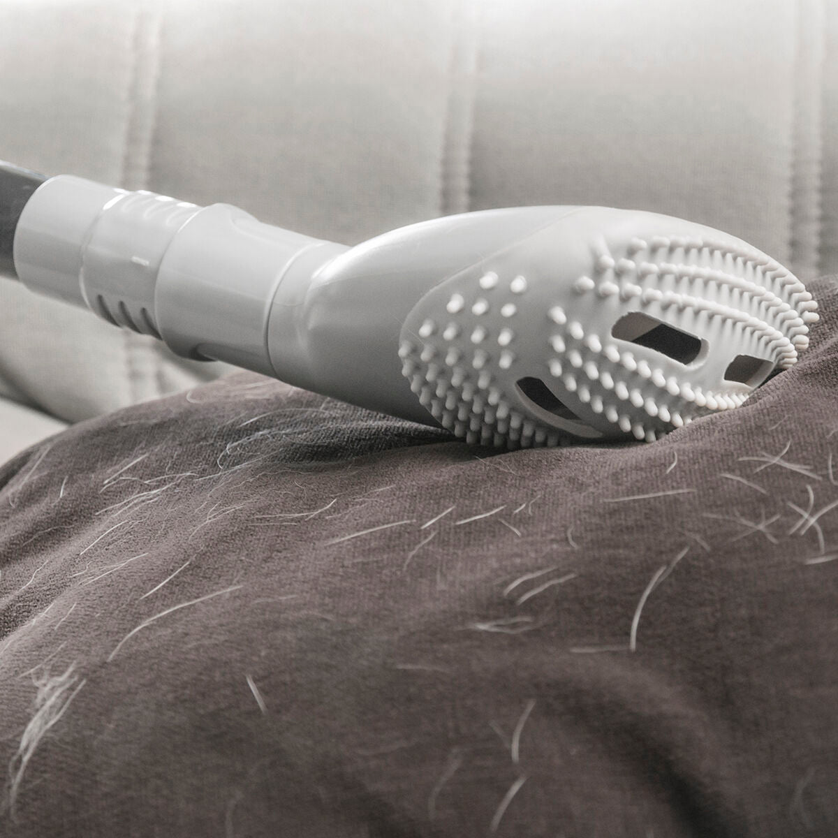 Dammsugarborste för hund & katthår