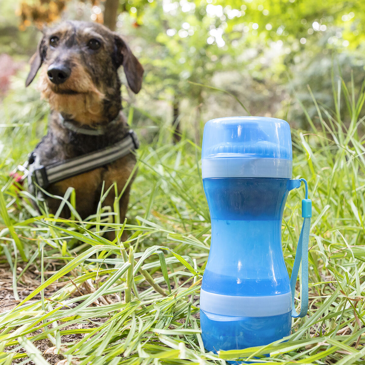 Vattenflaska för hund med matbehållare